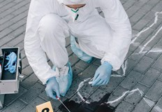 По данни на МВР от началото на годината до 30