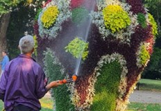 Предвижда се в структурата на предприятието да има три нови