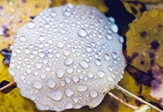 Какво ще е времето през следващите дни В края на второто