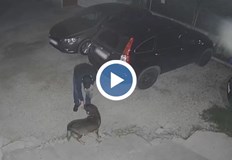 Мъжът беше заснет от видеокамера в столичния квартал Карпузица Има вече
