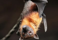 Специалист агроном ще даде съвети на учениците как да отглеждат