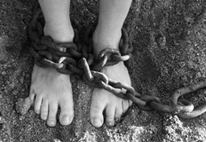 Нидерландското правителство планира да отдели 27 милиона евро за откриване на