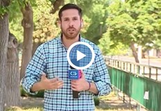 След като отлетяла птицата изпуснала слушалката недалечПапагал открадна слушалката на