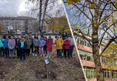 Децата посадиха овошки и присъстваха на поставянето на къщички за