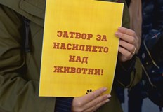 Мечо вече е в по добро състояние а мъжът който го