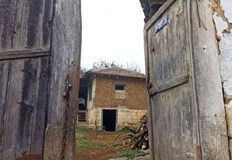 Заподозрян е мъж който живеел с жертвата от 3 години70 годишна