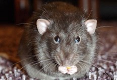 От съда подчертават че това не е първият път в