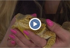 До момента тя е безпогрешна в прогнозите си кой ще