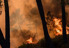 Пожарът е обхванал площ от около 300 декараПродължават усилията за