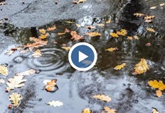 Минималните температури ще са 7° 12°През следващото денонощие облачността ще е