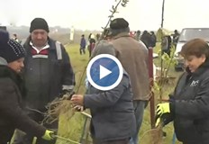 Целта им е в следващите 4 години да има около