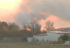 Горят сухи треви и храсти на територията на завод Арсенал