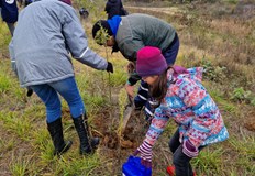 Стотици доброволци сред които много деца и родители се включиха