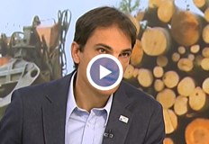 Тези които ще гласуват за кмета имат дърва другите няматС