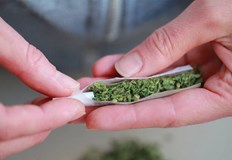 Мъжът е предал доброволно притежаваното от него количество треваНа 25