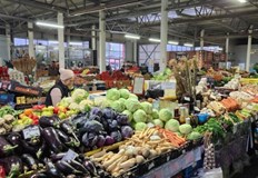 Ако се вземе на едро цената на зелето е с