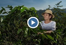 Климатичният феномен Ла Ниня продължава да влошава условията в регионаПроизводителите