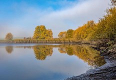 Максималните температури ще бъдат между 15° и 20°Над по голямата част от