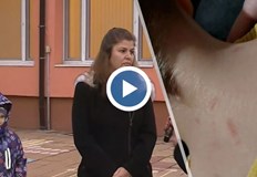 Родителите обвиняват персонала на детското заведениеСигнал за насилие над дете