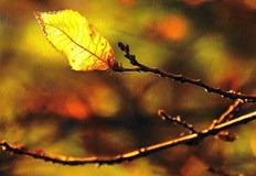 Атмосферното налягане е по високо от средното за месеца и още