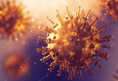 Коронавирусът не поразява само белите дробове а и мозъка носоглътката