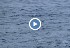 28 годишният турист паднал от кораб пътуващ от Ню Орлиънс за