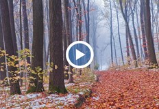 В нощта срещу понеделник може да паднат първите снежинки в