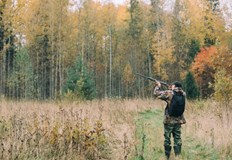 Местните ловци решават да прекратят излетите заради огромното струпване на