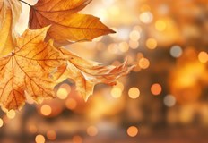 Старият континент е най бързо затоплящият се на ЗемятаОктомври е бил