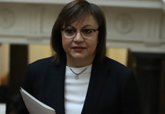 Корнелия Нинова През тази ограда може да се реже с