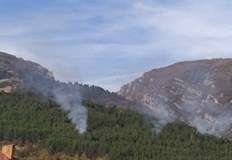 Пожарът 100 процента е умишлен заяви директорът на Горското стопанство в
