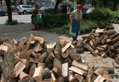 Самотна майка на три деца не е одобрена за помощтаРъст