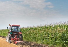 Финансовото подпомагане ще осигури непрекъснатост на дейността на фермеритеПрез следващата седмица от