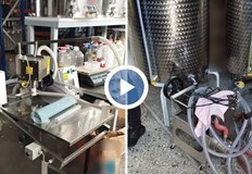 Трима от членове на организацията бяха арестуваниГръцката полиция разкри схема