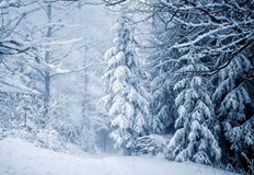 Сняг ще вали по високите планиниВ първия уикенд на ноември