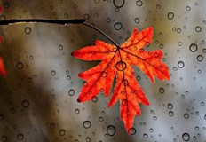 В Източна България валежите ще са слаби и на отделни