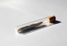 34 годишният русенец сам е признал на полицията че тревната маса