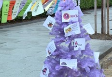 Вместо коледни играчки на елхата са закачени исканията на работещитеКНСБ