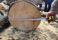 Най фрапиращите случаи за нарушения са констатирани на територията на ДГС БатакСпряна