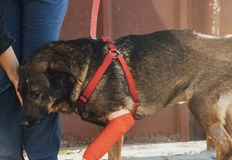 Престъплението предвижда до три години затвор и глоба до 5