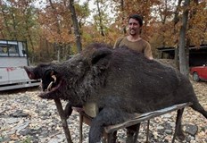 Тейнур Марем с един изстрел повалил големия шопарФутболистът Тейнур Марем