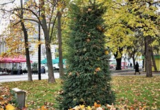 Починал е един пациент с потвърдена коронавирусна инфекция в странатаЧетири