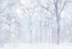 През нощта срещу понеделник в Северозападна България и в Предбалкана