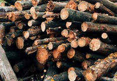 Близо 20 кубика дървесина са открити на три адреса в