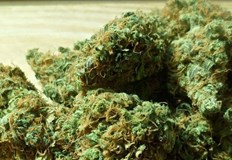 Полицаите са открили 5 грама канабис в двете лицаНа 09 11 2022