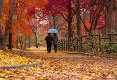 Максималните температури ще са между 12° и 17°През нощта ще