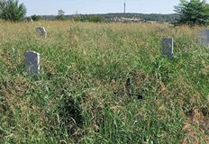 Санкцията е в размер от 20 до 500 леваОбщина Русе