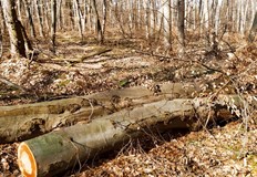 Инспекторите реагирали съвместно с полицията и се насочили към мястото