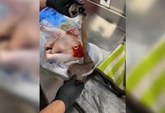 Летищните власти във Флорида се пошегуваха в Instagram че схемата