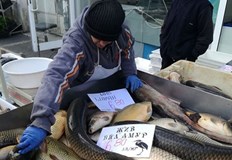 В ход са засилени проверки от Областната дирекция по безопасност